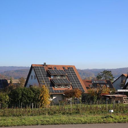 Hotel Garni Alte Post Schallbach Exteriér fotografie